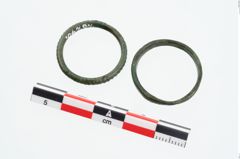 Foto von Bronzering (NHMW-PRAE-026240)